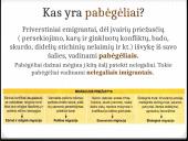 Pabėgėlių srautai ir jų keliamos problemos Europoje 3 puslapis