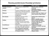 Pabėgėlių srautai ir jų keliamos problemos Europoje 4 puslapis