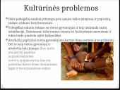 Pabėgėlių srautai ir jų keliamos problemos Europoje 10 puslapis