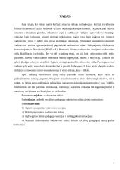 Socialinio pedagogo vadovavimo stiliai globos įstaigose 2 puslapis