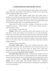 Socialinio pedagogo vadovavimo stiliai globos įstaigose 4 puslapis