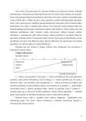 Socialinio pedagogo vadovavimo stiliai globos įstaigose 7 puslapis