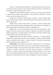 Socialinio pedagogo vadovavimo stiliai globos įstaigose 8 puslapis