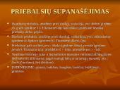 Įvardžiuotinių formų galūnių rašybos taisyklės 2 puslapis