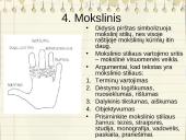 Apie teksto suvokimą 7 puslapis