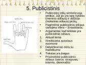 Apie teksto suvokimą 8 puslapis