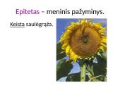 Meninės raiškos priemonės su pavyzdžiais 2 puslapis