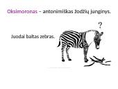 Meninės raiškos priemonės su pavyzdžiais 11 puslapis