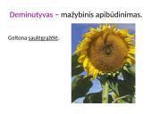 Meninės raiškos priemonės su pavyzdžiais 3 puslapis