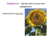 Meninės raiškos priemonės su pavyzdžiais 4 puslapis