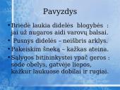 Sudėtiniai bejungtukiai sakiniai ir jų skyryba 11 puslapis