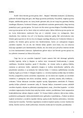 Socialinis kapitalas 2 puslapis