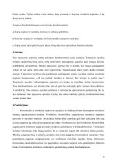 Socialinis kapitalas 4 puslapis