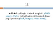 Vientisiniai sakiniai ir jų skyryba 13 puslapis