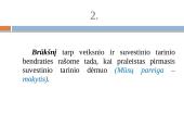 Vientisiniai sakiniai ir jų skyryba 4 puslapis