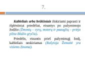 Vientisiniai sakiniai ir jų skyryba 9 puslapis