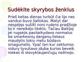 Sudėtinių sakinių kartojimas 10 puslapis