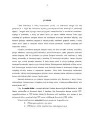 Europos komiteto prieš kankinimus veikla 3 puslapis