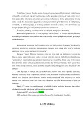 Europos komiteto prieš kankinimus veikla 5 puslapis