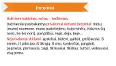 Skirk, kas skiriama! 15 puslapis