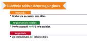 Skirk, kas skiriama! 20 puslapis