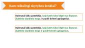 Skirk, kas skiriama! 3 puslapis