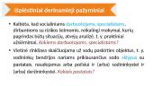 Skirk, kas skiriama! 8 puslapis