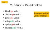 Lietuvių kalbos pamoka: dalyvių rūšys 12 puslapis