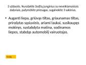 Lietuvių kalbos pamoka: dalyvių rūšys 13 puslapis
