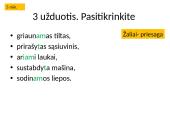 Lietuvių kalbos pamoka: dalyvių rūšys 14 puslapis