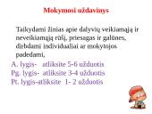 Lietuvių kalbos pamoka: dalyvių rūšys 4 puslapis