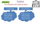 Lietuvių kalbos pamoka: dalyvių rūšys 6 puslapis