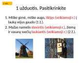 Lietuvių kalbos pamoka: dalyvių rūšys 10 puslapis