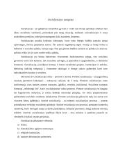 Socializacijos samprata šeimoje 3 puslapis