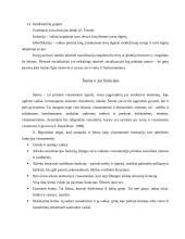 Socializacijos samprata šeimoje 4 puslapis