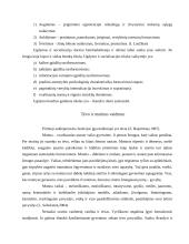 Socializacijos samprata šeimoje 6 puslapis