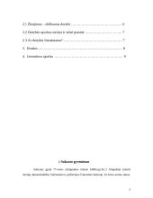 Sokrato gyvenimas ir jo etinės pažiūros 2 puslapis