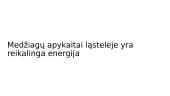 Energija ląstelėje 3 puslapis