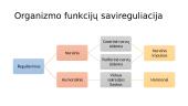 Organizmo funkcijos ir funkcijų savireguliacija 2 puslapis