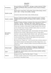 Kultūros epochos ir literatūros srovės 2 puslapis