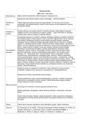 Kultūros epochos ir literatūros srovės 11 puslapis