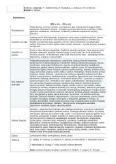 Kultūros epochos ir literatūros srovės 12 puslapis