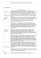 Kultūros epochos ir literatūros srovės 13 puslapis