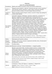 Kultūros epochos ir literatūros srovės 16 puslapis