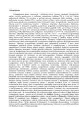 Kultūros epochos ir literatūros srovės 17 puslapis