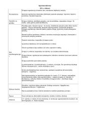 Kultūros epochos ir literatūros srovės 19 puslapis