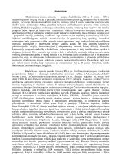 Kultūros epochos ir literatūros srovės 20 puslapis