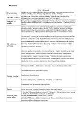 Kultūros epochos ir literatūros srovės 5 puslapis