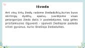 Žiedo sandaros nagrinėjimas, augalų žiedadulkių įvairovė 13 puslapis