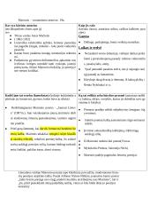 Maironis  – romantizmo atstovas